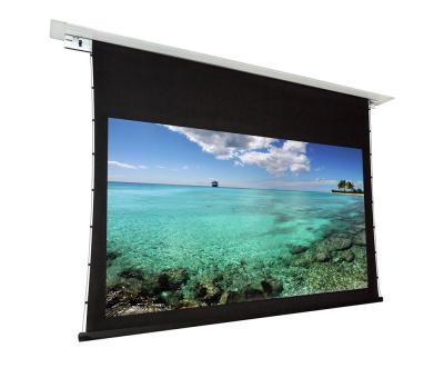 Экран DRAGONFLY моторизованный встраиваемый в потолок, 16 : 9 (HDTV), 266*150 см, диагональ 120 дюймов (305 см) 115349
