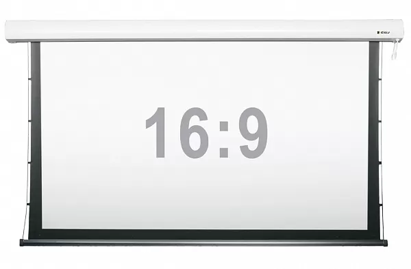 Фото Экран DIGIS моторизованный с боковым натяжением, 16 : 9 (HDTV), 330*186 см, диагональ 149 дюймов (379 см) 111701