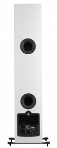 Фото Напольная акустическая система DALI RUBICON 6 C  Цвет: Белый [WHITE HIGH GLOSS] + DALI SOUND HUB+BLUOS MODULE