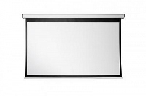 Экран DIGIS механический, 1 : 1 (AV), 300*300 см, диагональ 167 дюймов (424 см) 112100
