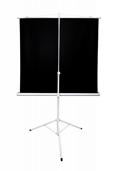 Фото Экран SAKURA мобильный на штативе, 1 : 1 (AV), 180*180 см, диагональ 100 дюймов (255 см) 112747