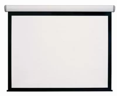 Фото Экран DIGIS моторизованный, 4 : 3 (NTSC), 200*150 см, диагональ 98 дюймов (250 см) 111581