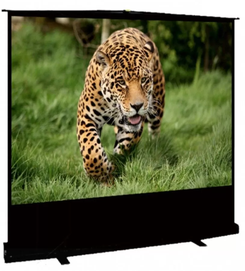Фото Экран SAKURA мобильный напольный, 16 : 9 (HDTV), 177*100 см, диагональ 80 дюймов (203 см) 112683