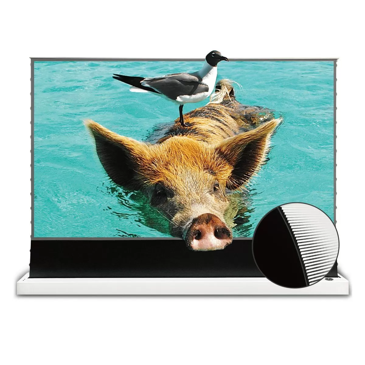 Фото Экран IPROJECTOR напольный моторизованный, 16 : 9 (HDTV), 221*125 см, диагональ 100 дюймов (254 см) 116758