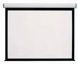 Экран DIGIS моторизованный, 4 : 3 (NTSC), 200*150 см, диагональ 98 дюймов (250 см) 111581