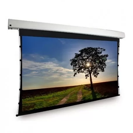 Фото Экран DRAGONFLY моторизованный с боковым натяжением, 16 : 9 (HDTV), 288*162 см, диагональ 130 дюймов (330 см) 115325